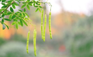 成都租大巴车防*指南，别让这些细节毁了你的*旅行