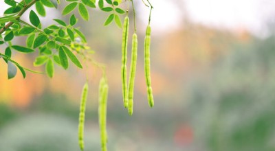 在成都坐景区直通车旅行，是偷懒还是真香？我试了三天，聊聊大实话