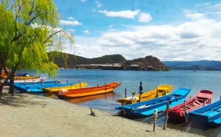 成都旅游，别只盯着景区直通车！本地人私藏的公交玩法，便宜又地道