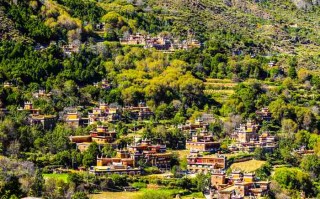 成都景区直通车，是省心还是*我亲测了3条线，有些话不吐不快