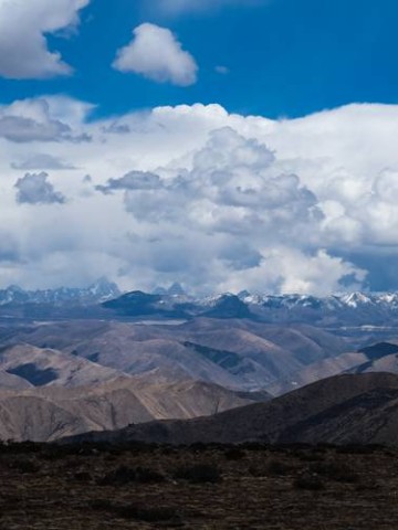 别傻等公交了！成都熊猫基地直通车，我试出了更省心的玩法