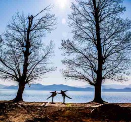 成都景区直通车订票全攻略，别再傻傻排队了！