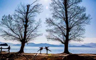 成都机场接送，9座专车实测，一家老小的体面，到底值多少钱？