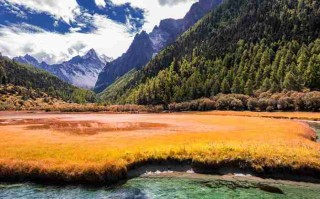 成都租大巴车，这样找优惠才靠谱！