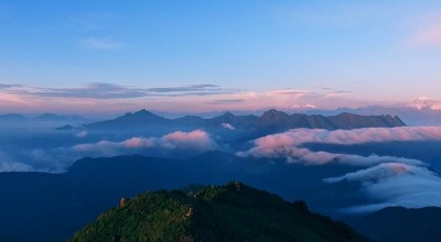 成都景区直通车，是省心还是*我亲测了3条线告诉你真相