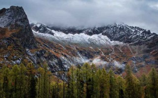 成都景区直通车官网预约，手把手教你避*别再傻傻排队了