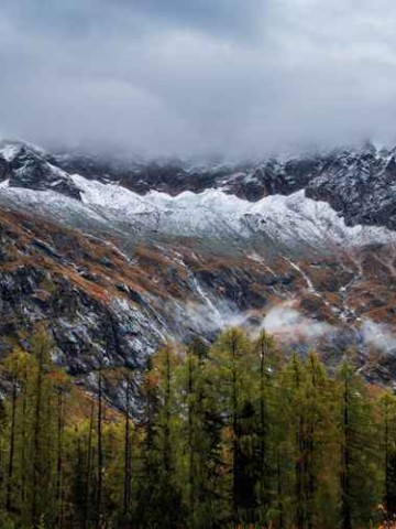 成都景区直通车官网预约，手把手教你避*别再傻傻排队了