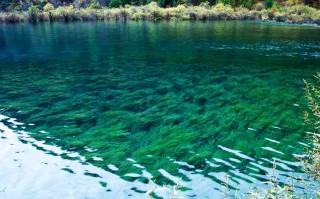 成都到川西，别自驾了！这条懒人直通车路线，藏着更地道的玩法