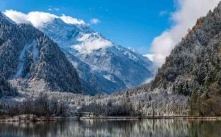 成都租大巴当婚车，我打了20个电话后总结出的血泪经验