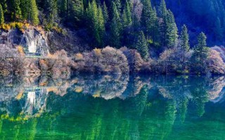 成都耍安逸，景区直通车住哪儿更巴适？一篇给你整明白！