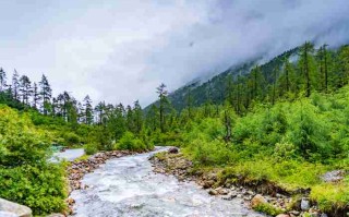 成都旅游租车，哪个平台不*人？我花了三千块试出来的血泪经验