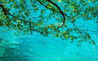 成都租大巴攻略，别光知道租小车，这几种情况大巴才是真香选择！