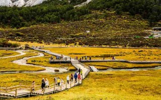 在成都租辆奔驰商务车要花多少钱？算完这笔账我沉默了…