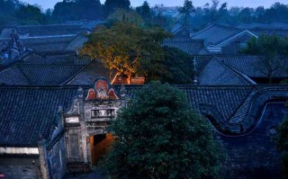 成都到碧峰峡直通车亲测！别再傻傻转车了，这份避*指南收好