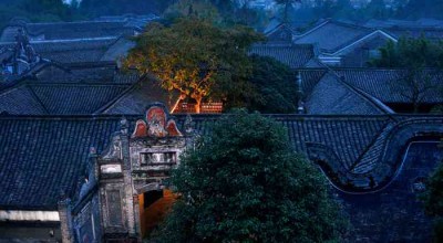 成都机场宠物接送，一个电话解决所有麻烦！亲测攻略+避*指南