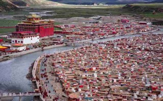 成都机场接送机亲测攻略，别花*枉钱，这样订更靠谱！