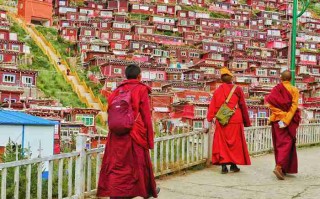 成都租车自驾游，一天到底要花多少钱？老司机给你算笔明白账！