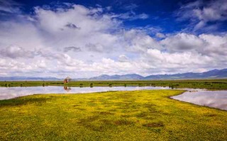 成都网约车旅游租车价格全解析，省钱攻略与避*指南