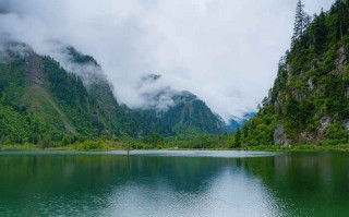 成都机场接送，商务车电话一打就灵？老司机告诉你这些门道！