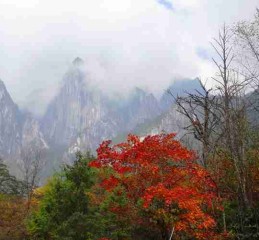 成都景区直通车票能退吗？亲测退款流程，这些*你别踩！