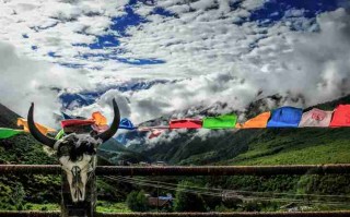 成都租车，我为什么总选传祺M8？老司机告诉你这车有多巴适