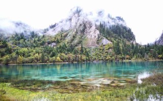 成都租大巴全攻略，别光知道打车，团队出行这样玩才省钱又自在！