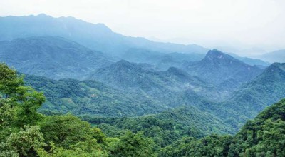 深夜落地成都，那辆包接送的破面包车，载着我驶向真正的江湖