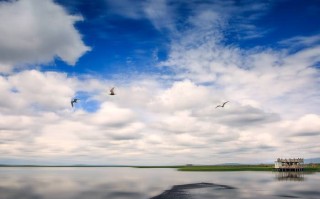 成都机场专车司机老陈，方向盘上的人生茶馆