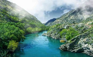 在成都双流机场，我体验了一次宠物专车接送，结果发现…