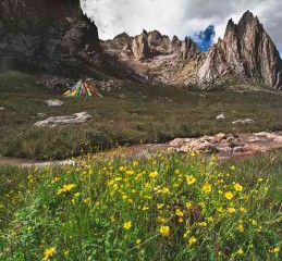 成都景区直通车，官方购票到底怎么整？这篇攻略给你捋明白！