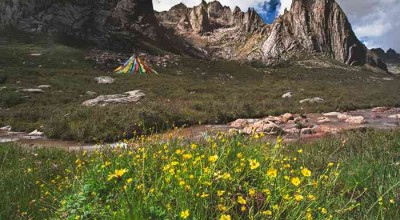 成都景区直通车，官方购票到底怎么整？这篇攻略给你捋明白！