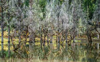 成都租车攻略，那些藏在电话地址里的*与惊喜，老司机一次说清楚