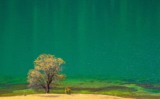 在成都金牛区租大巴车，我踩过的那些*和挖到的宝