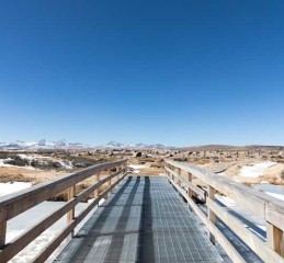 别再傻等公交了！成都景区直通车发车地全攻略，本地人都偷偷收藏