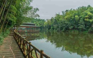 成都租辆埃尔法商务车，一天到底要花多少钱？看完这篇你就全明白了！