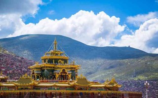 成都租辆11座蓝牌商务车，解锁全家出游新姿势！这些门道你得知道