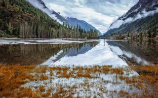 在成都开奔驰商务车跑出租？这钱花得值不值，老司机给你唠明白