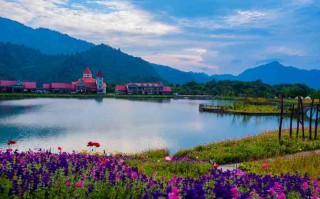 别再被天府机场接送*了！实测成都市区上门接送，这些门道你必须知道