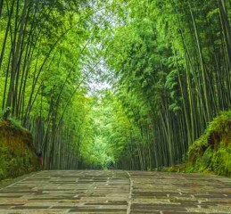 在成都租车旅游，我踩过的接送服务*你千万别再犯