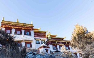 成都景区直通车门店藏哪儿了？这篇给你扒个明白！