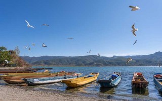 成都租辆大众商务车，一天到底要花多少钱？这篇给你算明白！